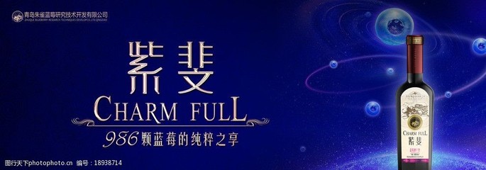 藍(lán)莓酒海報圖片