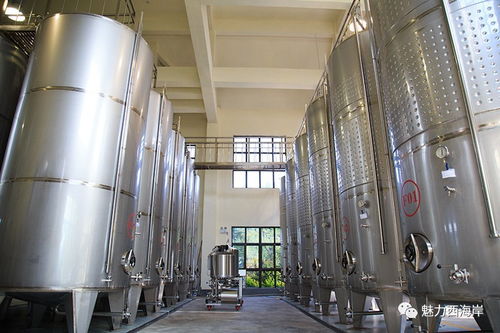 搶 雙十一 規模全國前三 西海岸本土紫斐藍莓酒不減價不狂歡 壕氣送送送