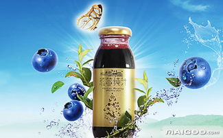禾韻品牌系列 源自自然的藍(lán)莓健康佳品