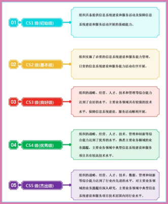 CS資質級別、概念及辦理要求——信息技術咨詢服務詳解